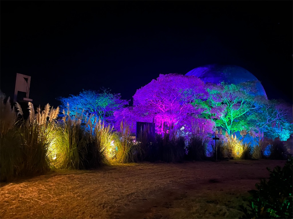 f:id:narutabi:20251130214530j:image