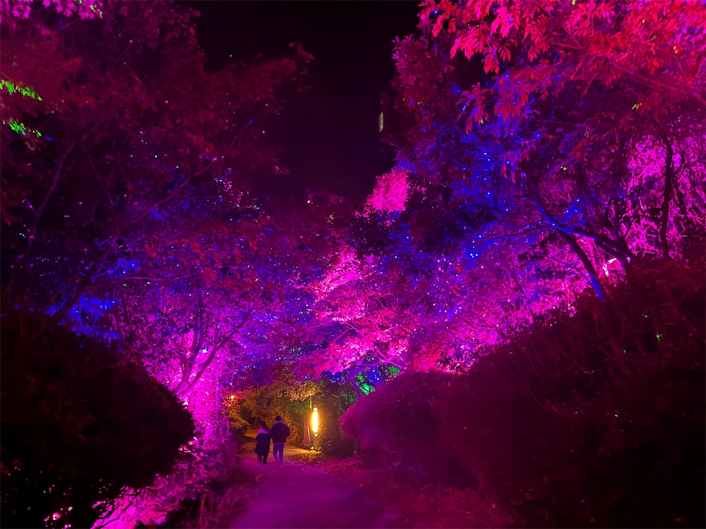 f:id:narutabi:20251130214540j:image