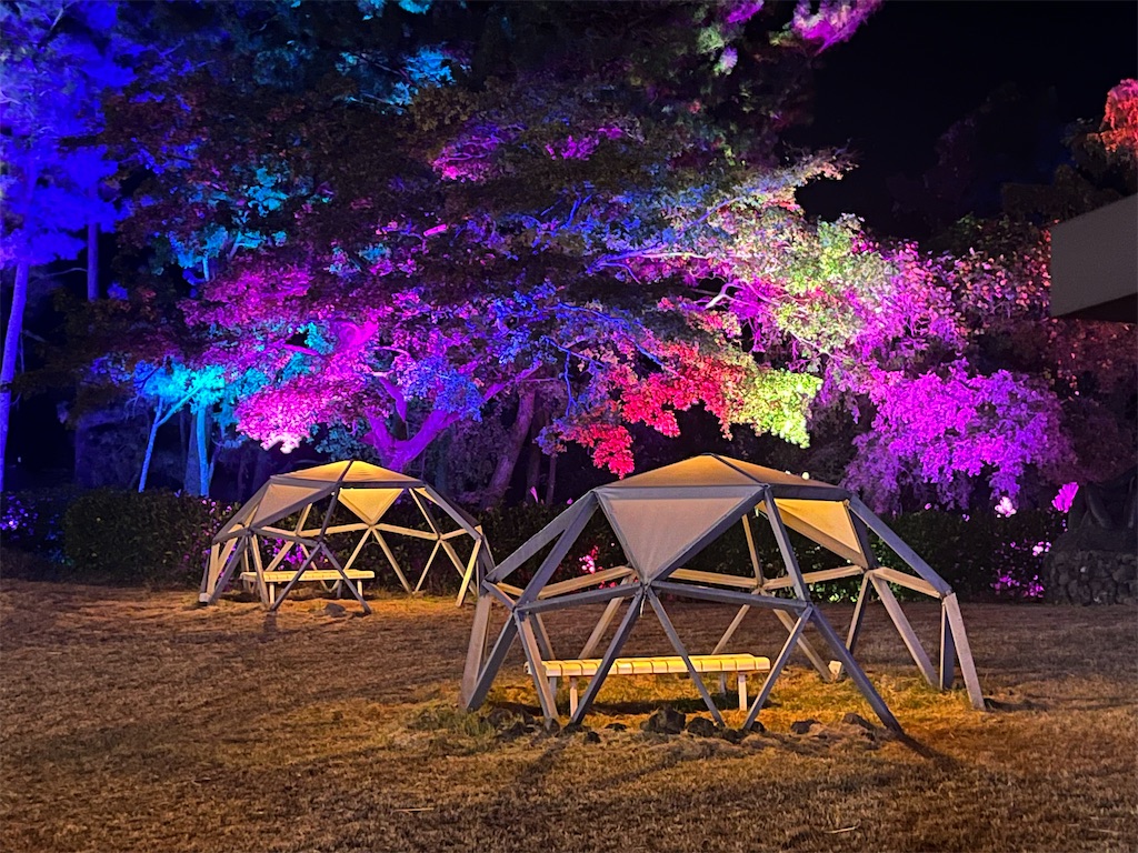 f:id:narutabi:20251130214548j:image