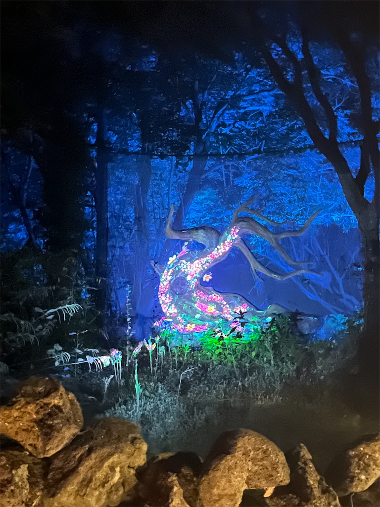 f:id:narutabi:20251130214552j:image