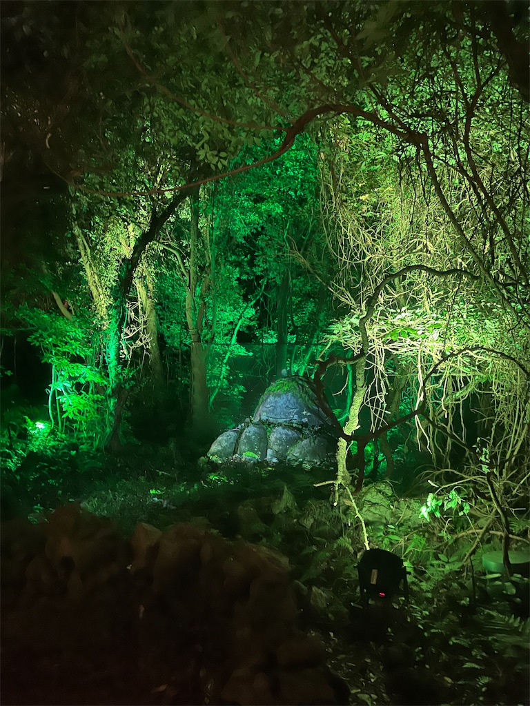 f:id:narutabi:20251130214559j:image