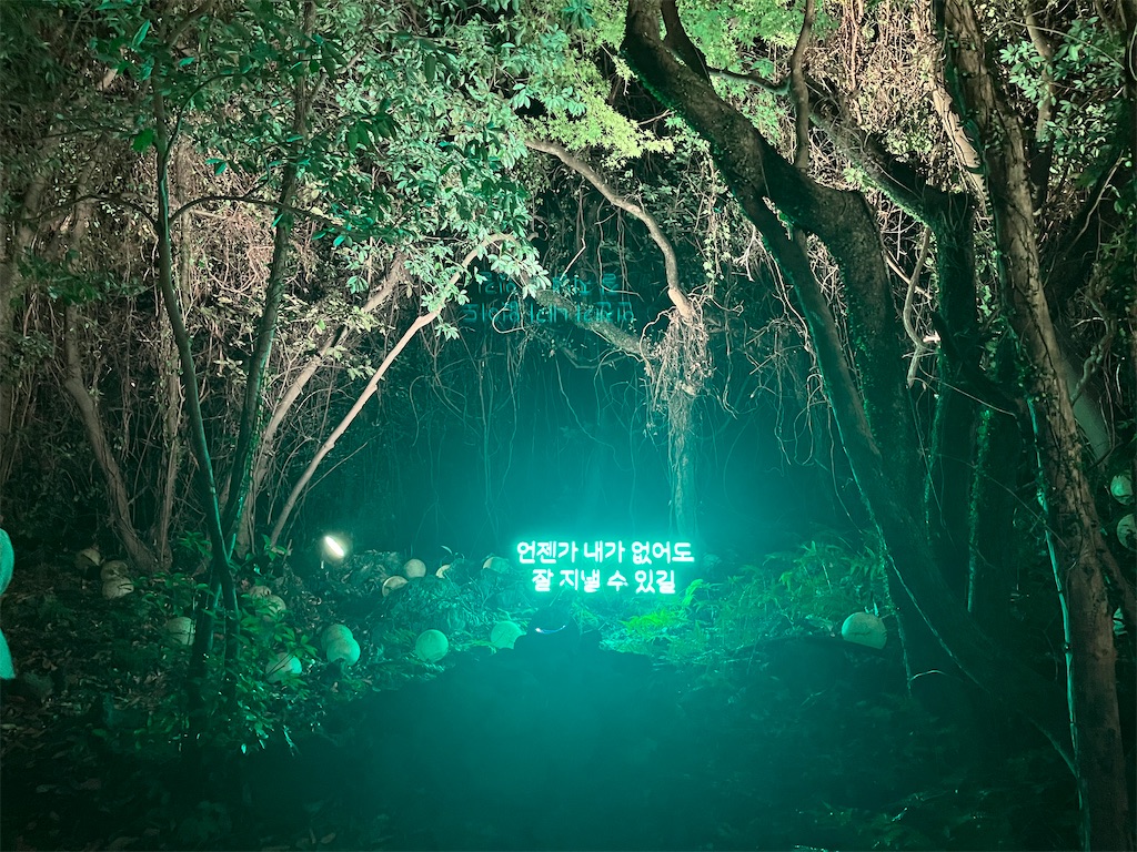 f:id:narutabi:20251130214613j:image