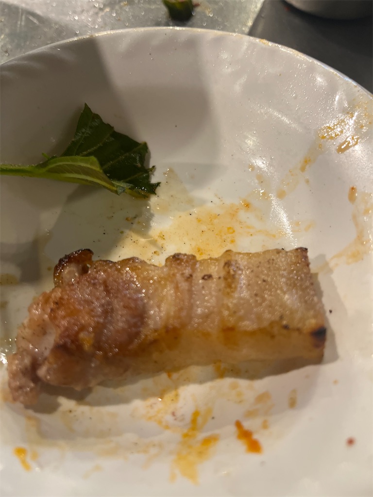 f:id:narutabi:20251130214901j:image