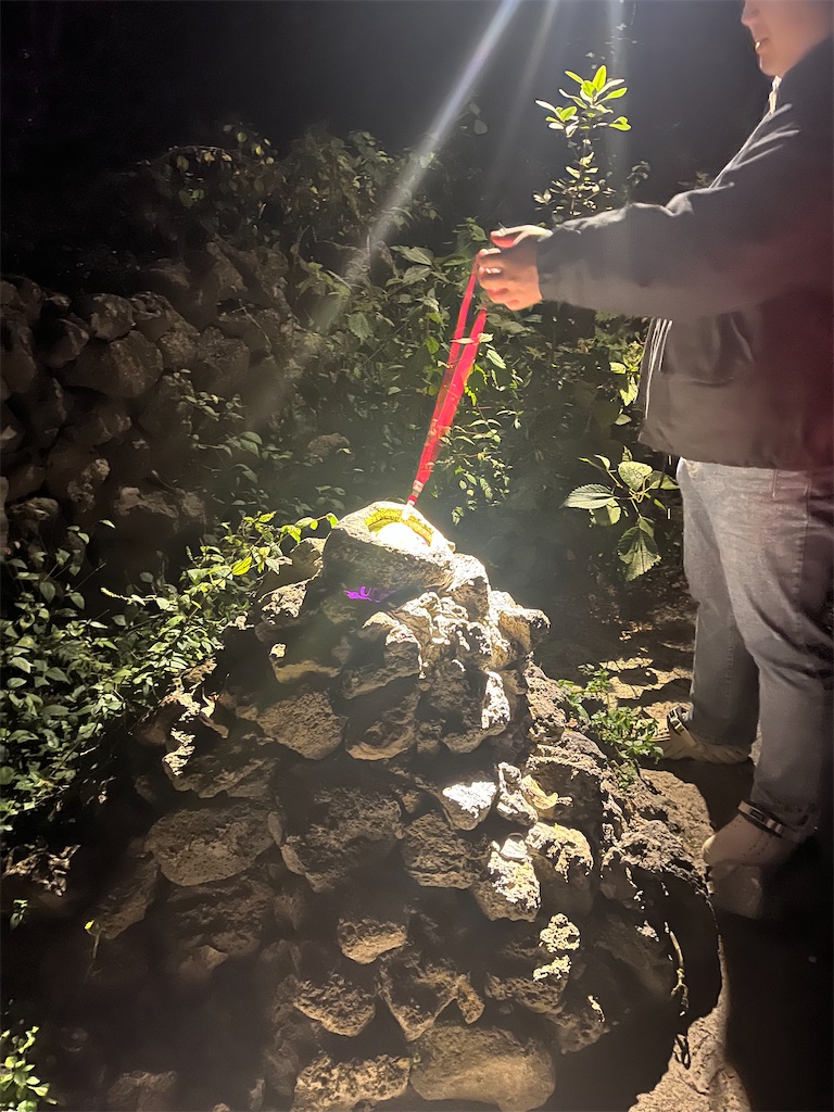 f:id:narutabi:20251201225919j:image