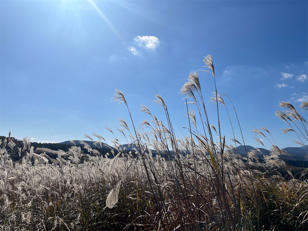 f:id:narutabi:20251202203551j:image