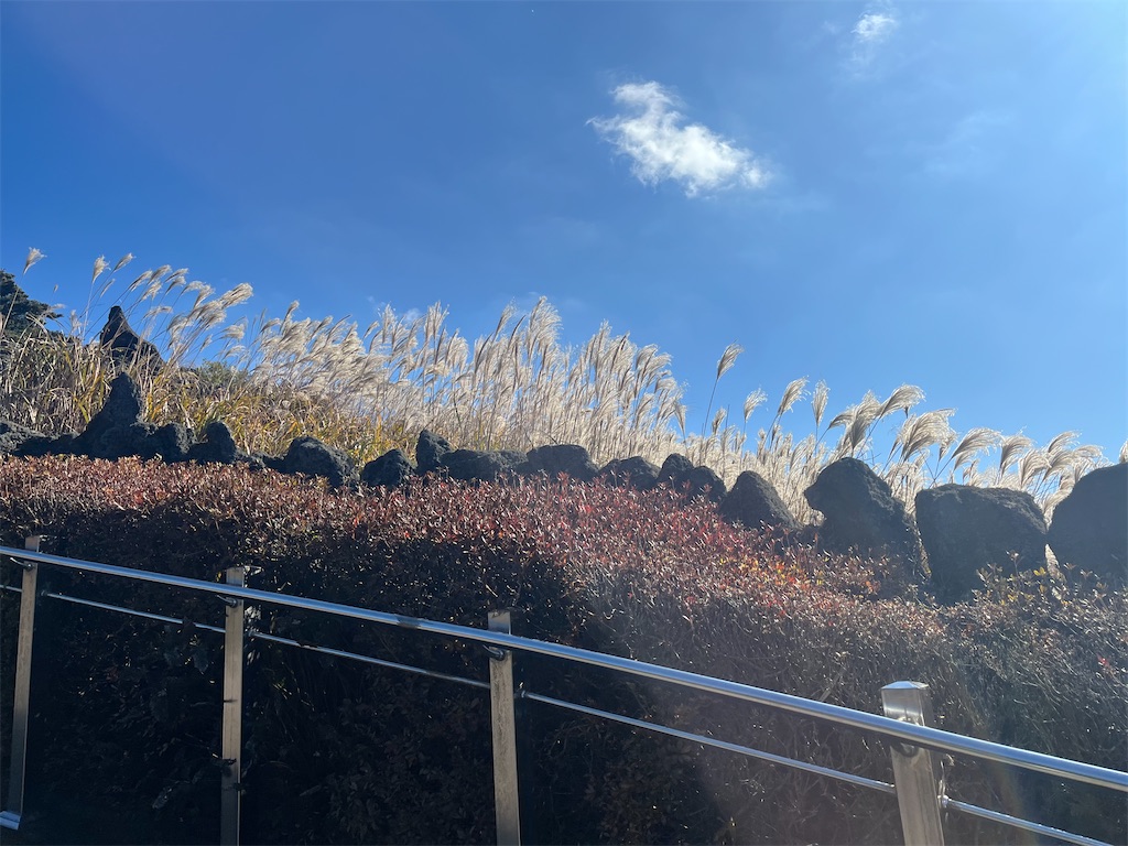 f:id:narutabi:20251202203600j:image