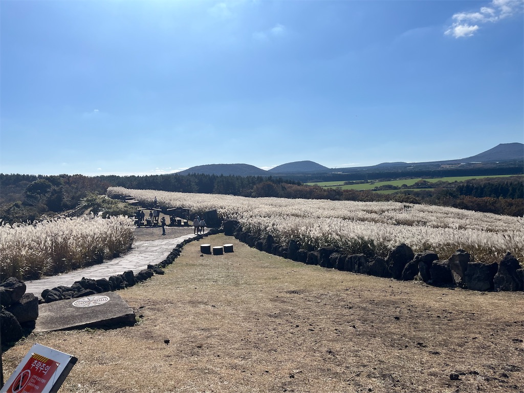 f:id:narutabi:20251202203615j:image