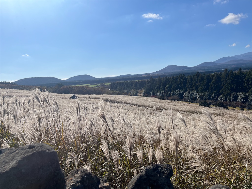 f:id:narutabi:20251202203619j:image