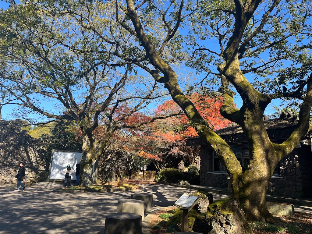 f:id:narutabi:20251202203622j:image