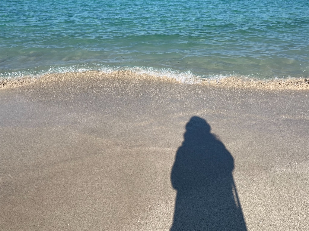 f:id:narutabi:20251202203735j:image