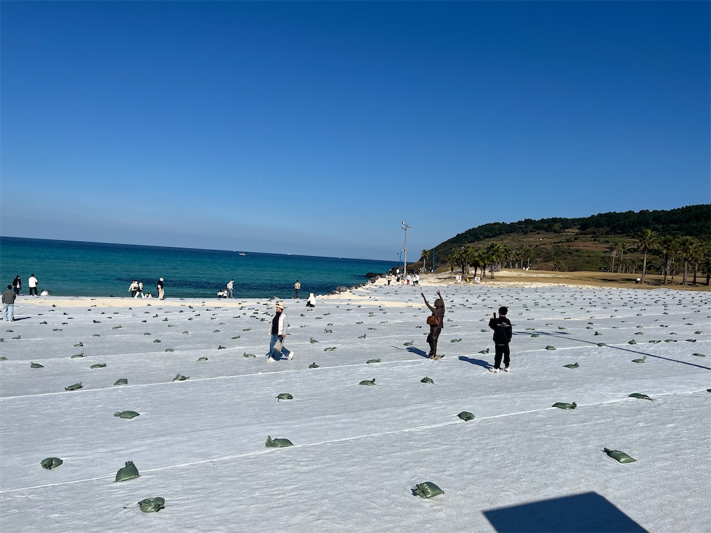 f:id:narutabi:20251202203749j:image