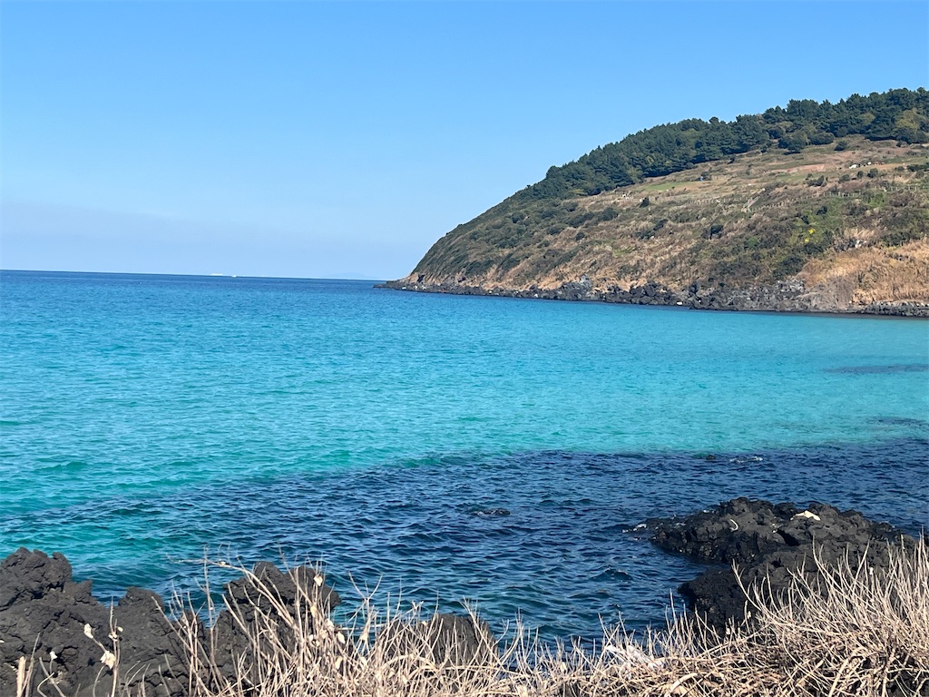 f:id:narutabi:20251202203752j:image