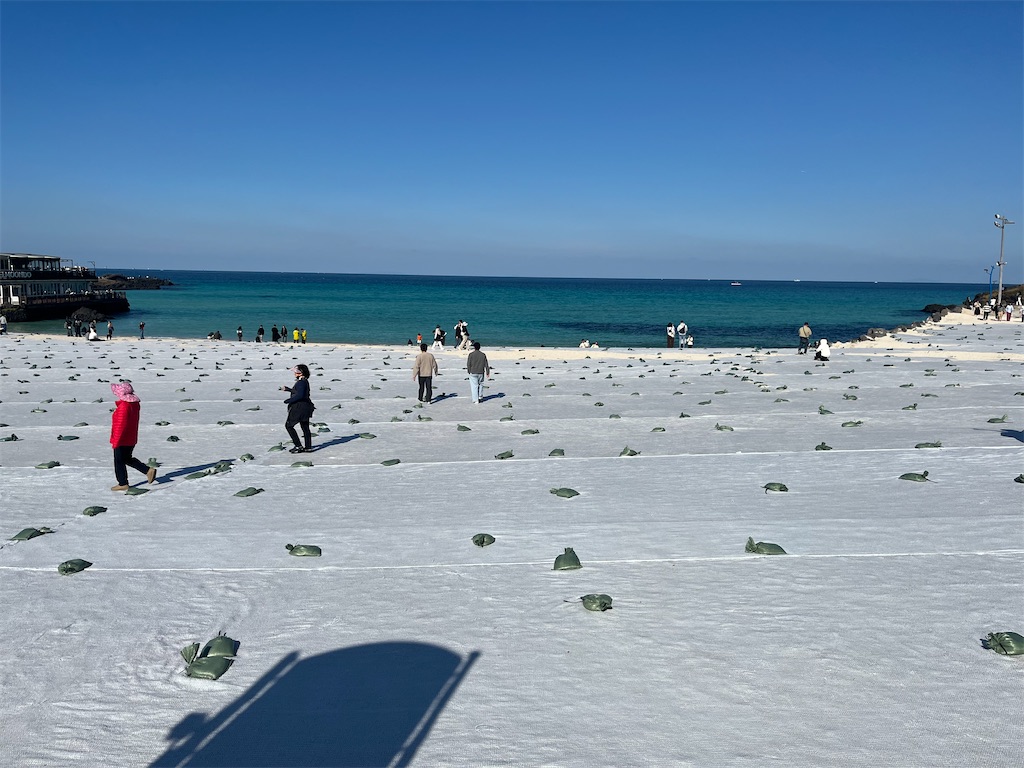 f:id:narutabi:20251202203755j:image