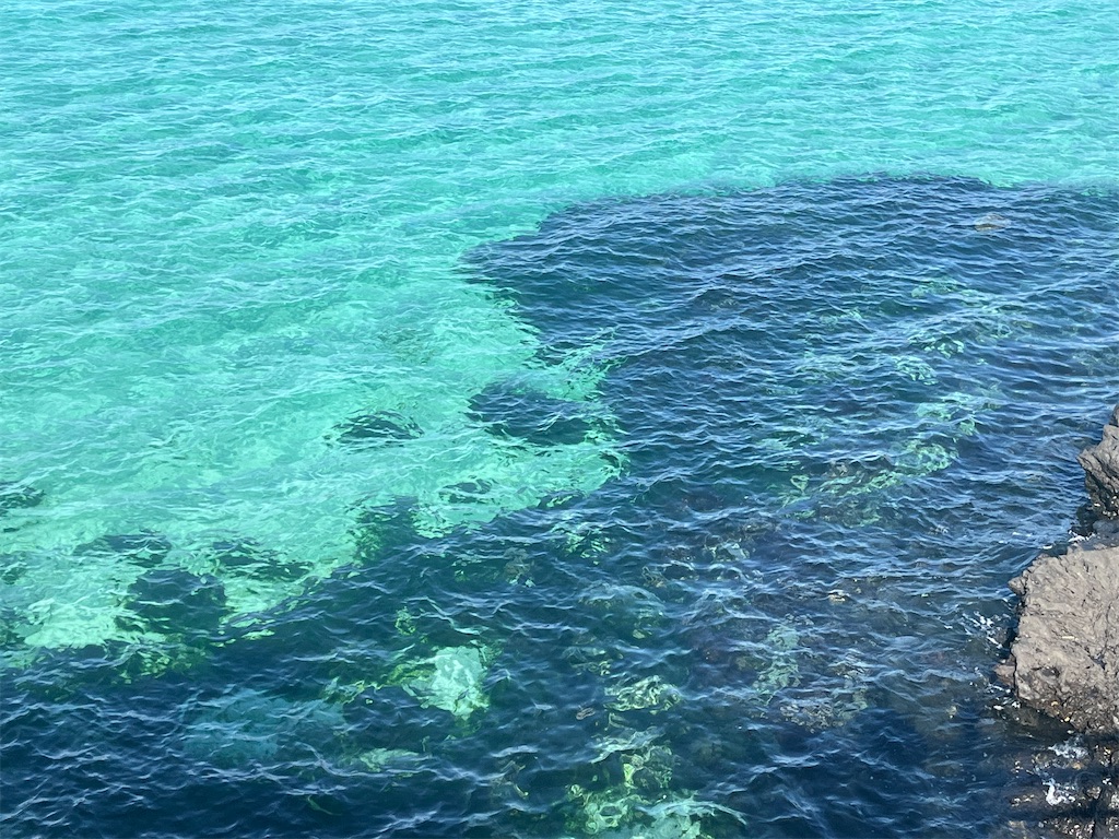 f:id:narutabi:20251202203805j:image