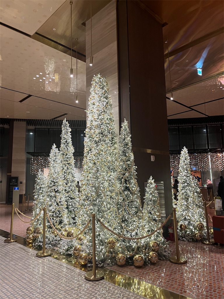 f:id:narutabi:20251203123106j:image