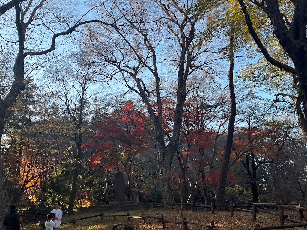 f:id:narutabi:20251208071229j:image