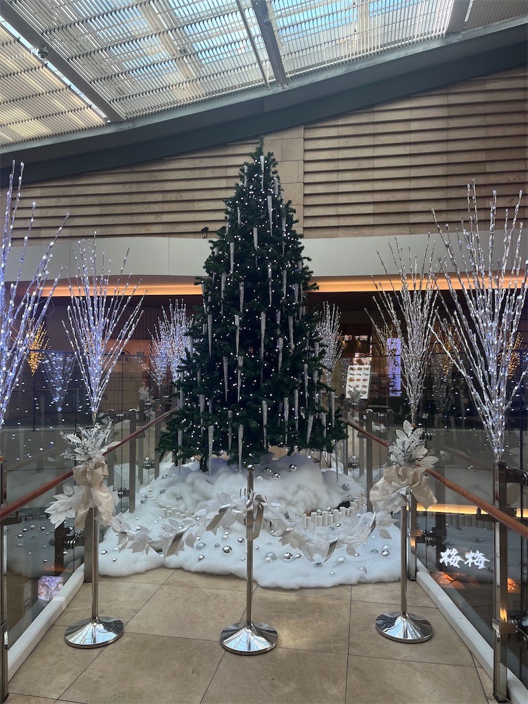 f:id:narutabi:20251216215802j:image
