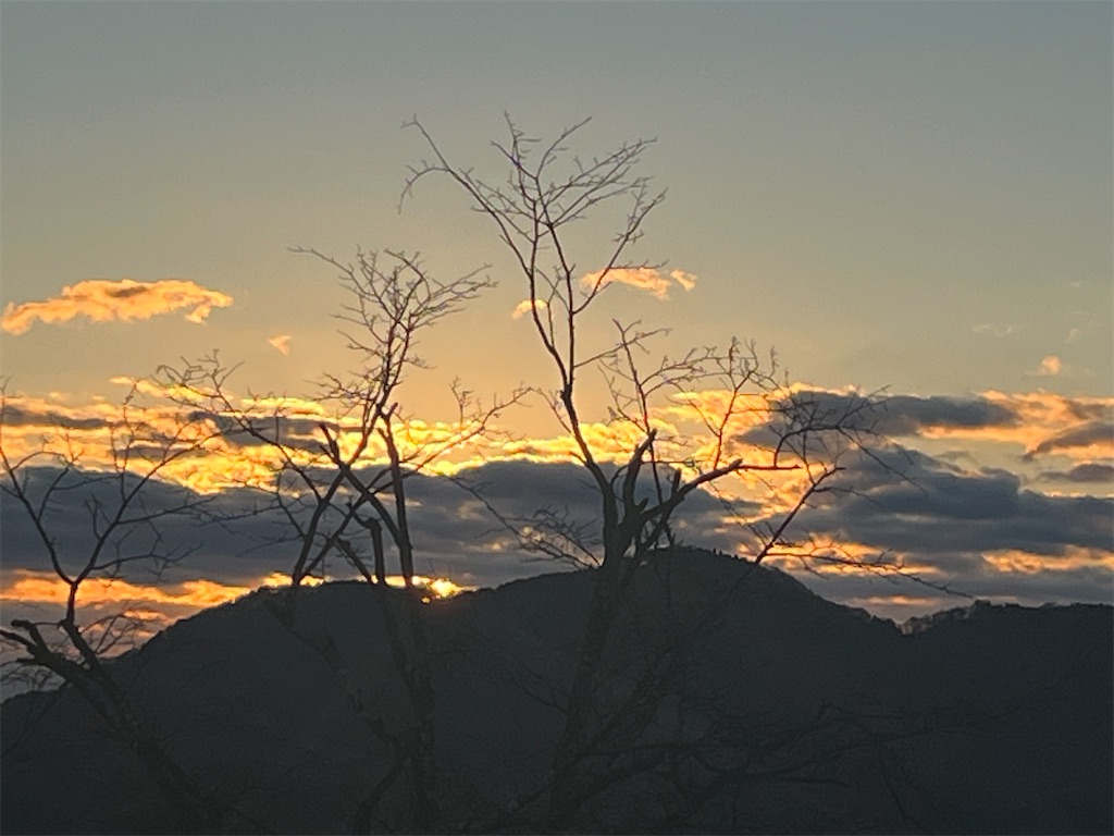 f:id:narutabi:20260101132938j:image