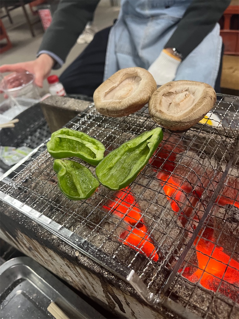 f:id:narutabi:20260107195057j:image