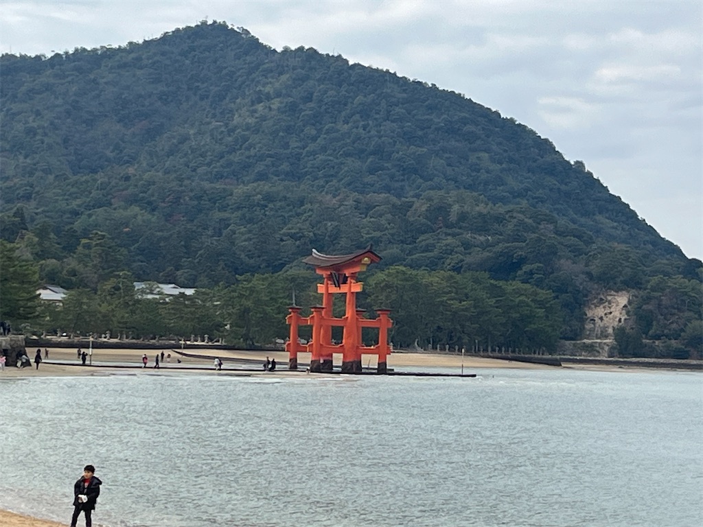 f:id:narutabi:20260108150020j:image