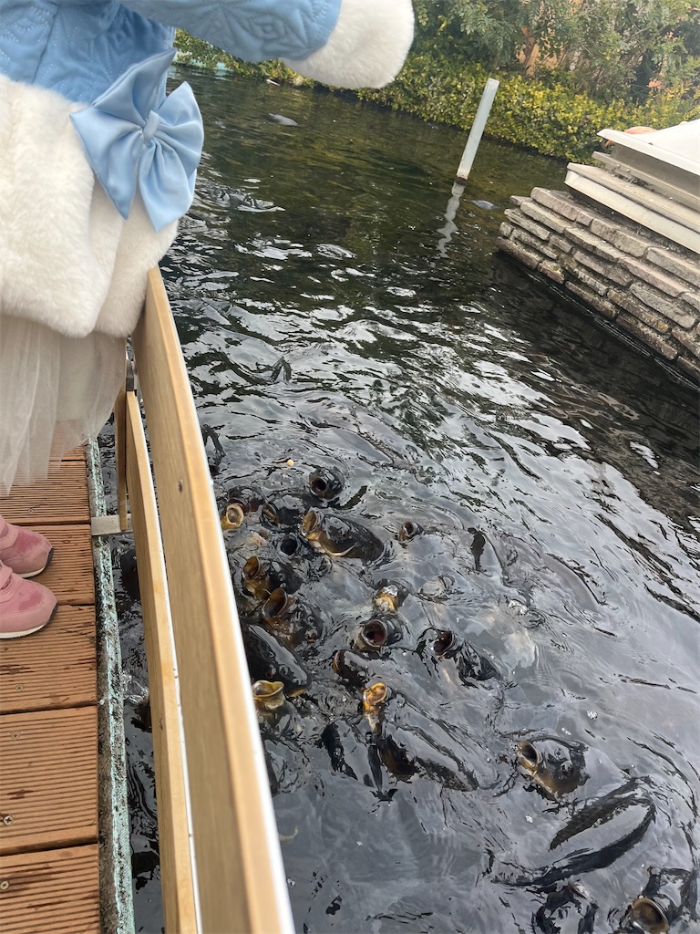 f:id:narutabi:20260215163524j:image f:id:narutabi:20260215163524j:image