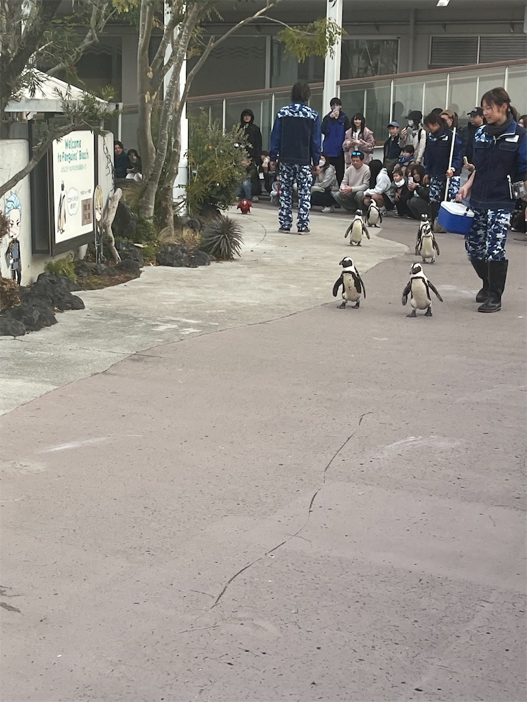 f:id:narutabi:20260215230754j:image