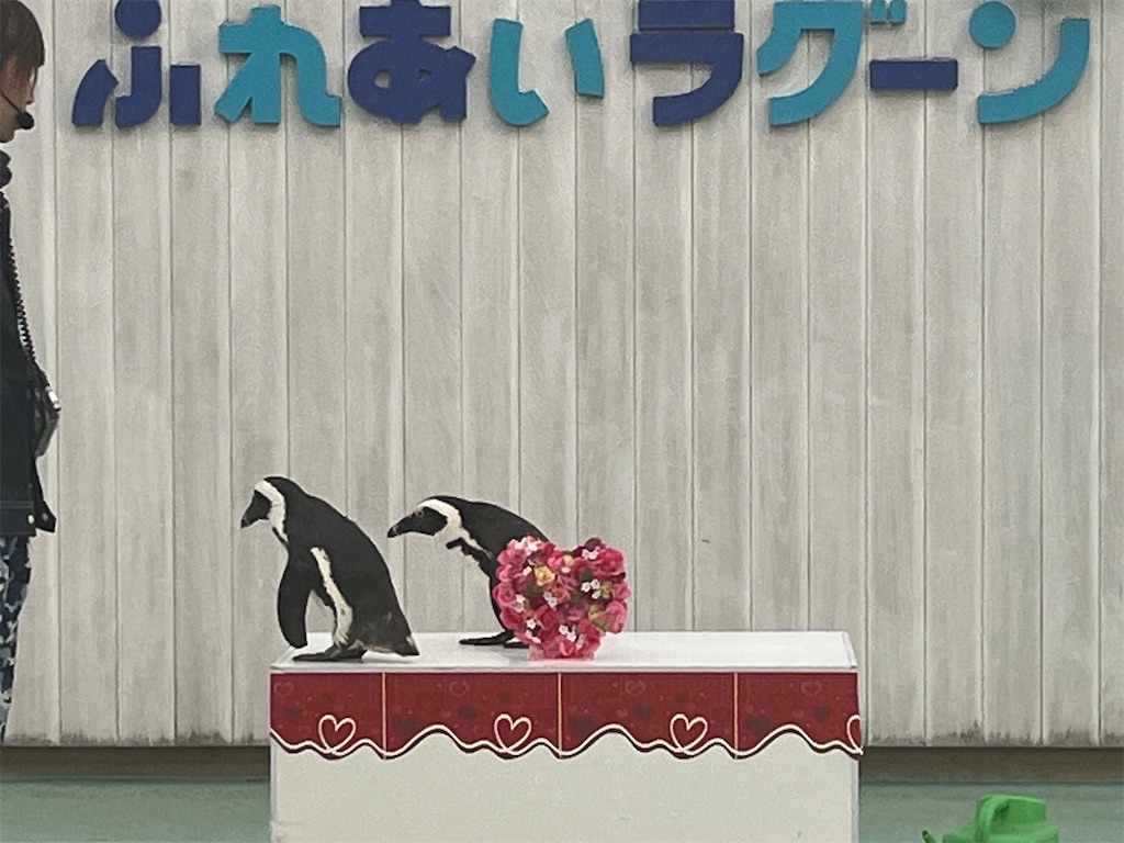f:id:narutabi:20260215230806j:image