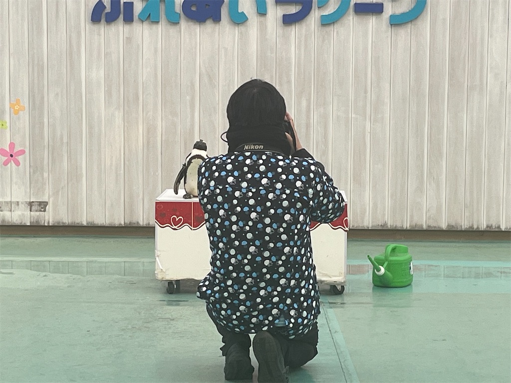 f:id:narutabi:20260215230836j:image