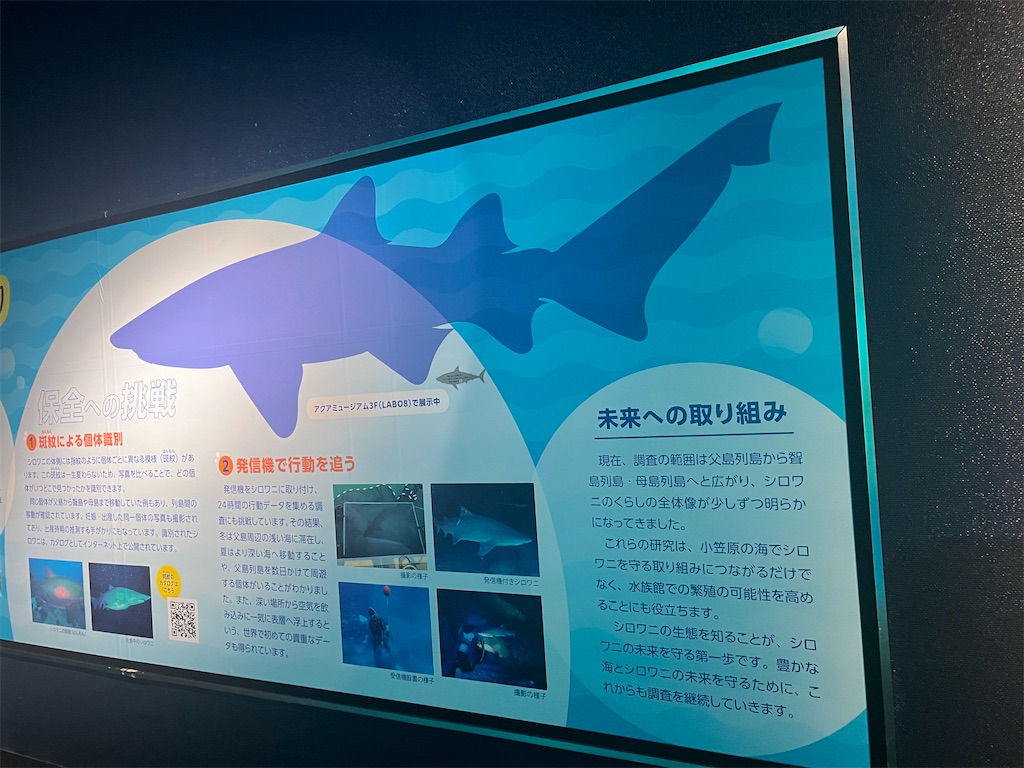 f:id:narutabi:20260216193453j:image