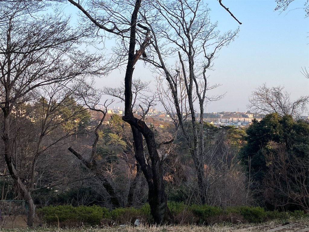f:id:narutabi:20260225071508j:image