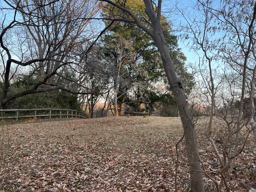 f:id:narutabi:20260225071511j:image