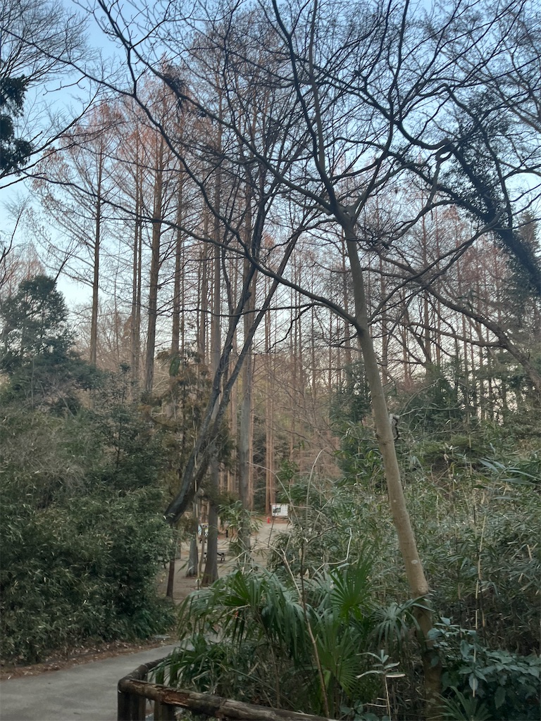 f:id:narutabi:20260225071520j:image