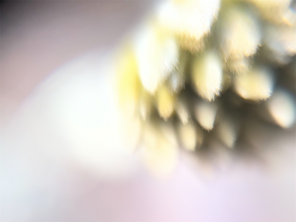 f:id:narutabi:20260225071558j:image