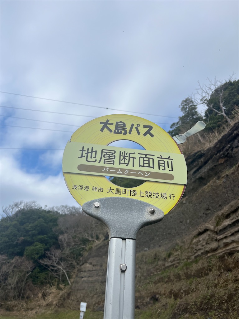 f:id:narutabi:20260308222026j:image