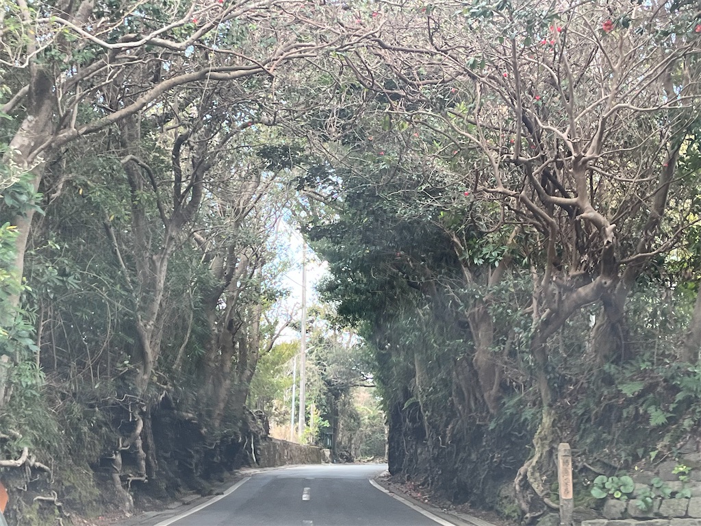f:id:narutabi:20260309223107j:image