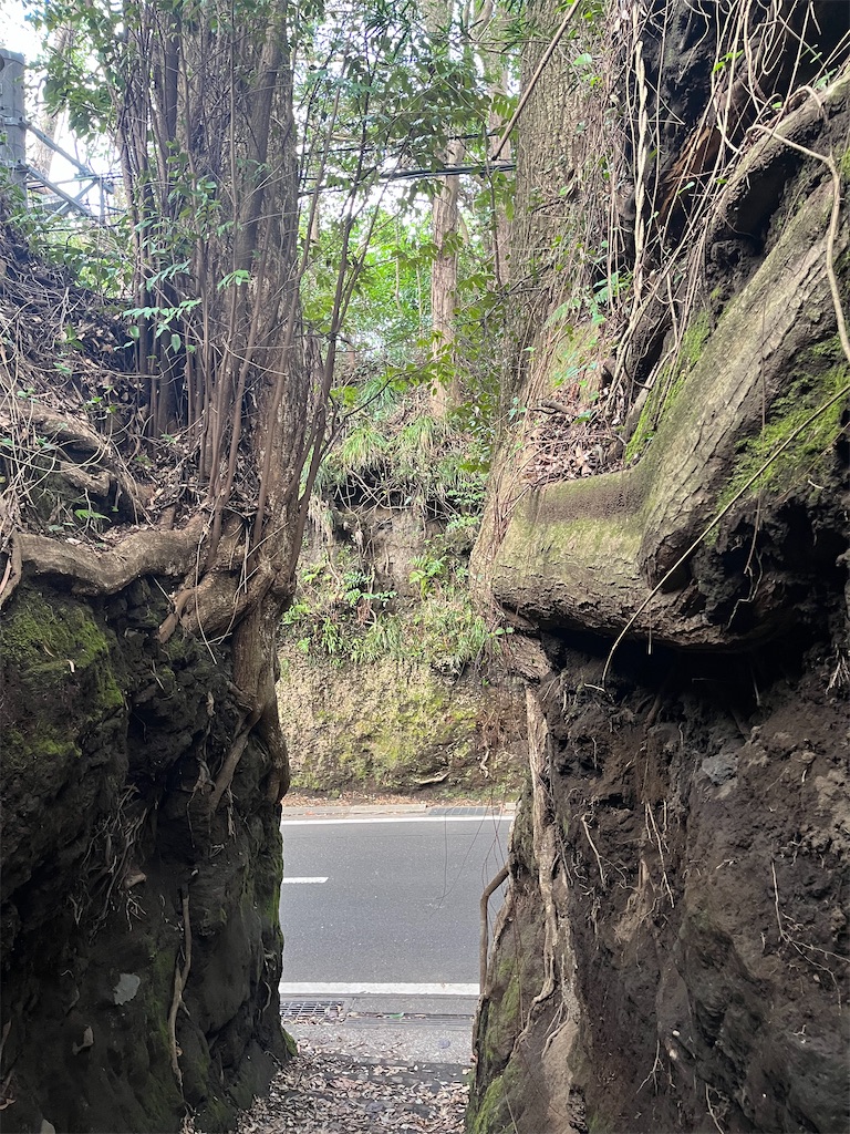 f:id:narutabi:20260309223125j:image