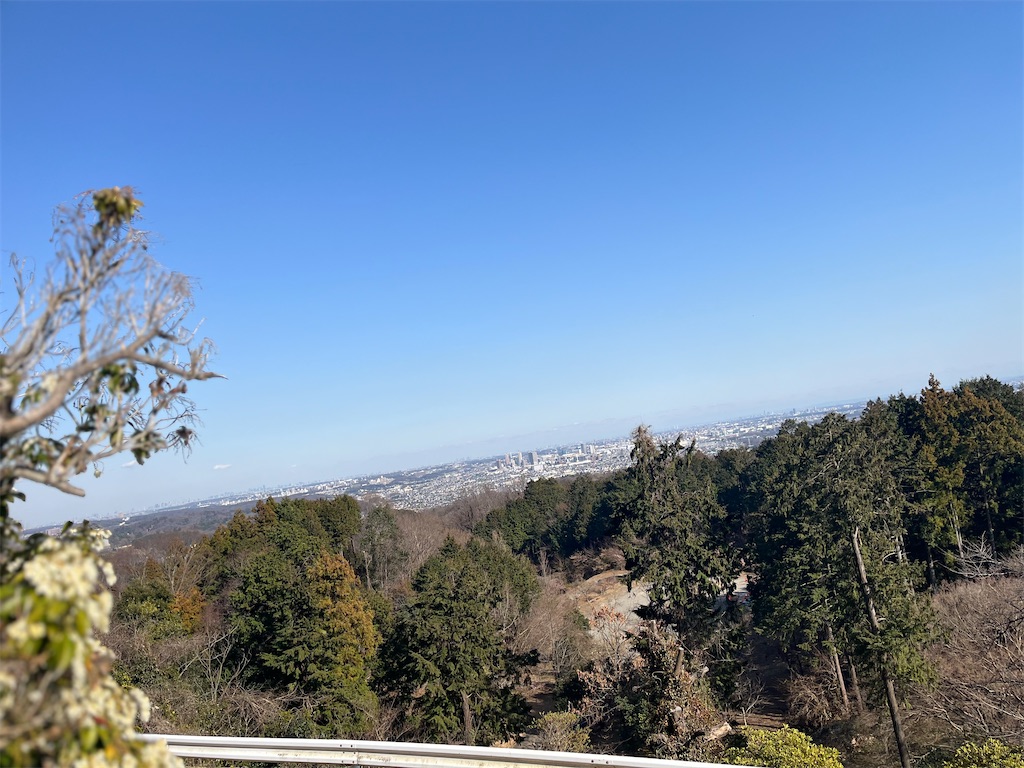 f:id:narutabi:20260322103859j:image