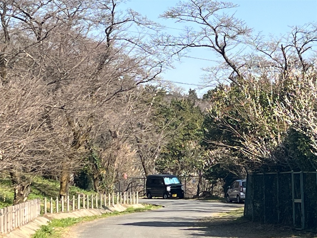 f:id:narutabi:20260322103921j:image