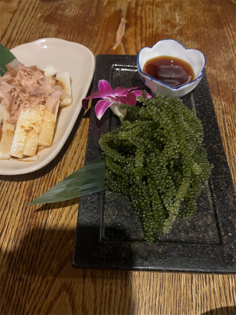 f:id:narutabi:20260325230446j:image