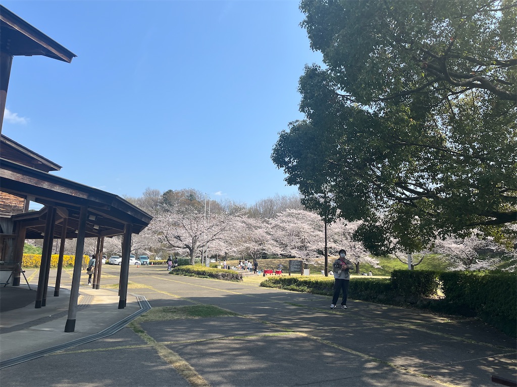 f:id:narutabi:20260330201619j:image
