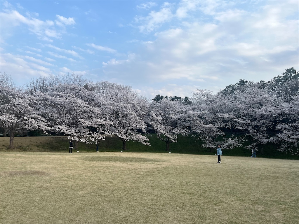 f:id:narutabi:20260331114125j:image
