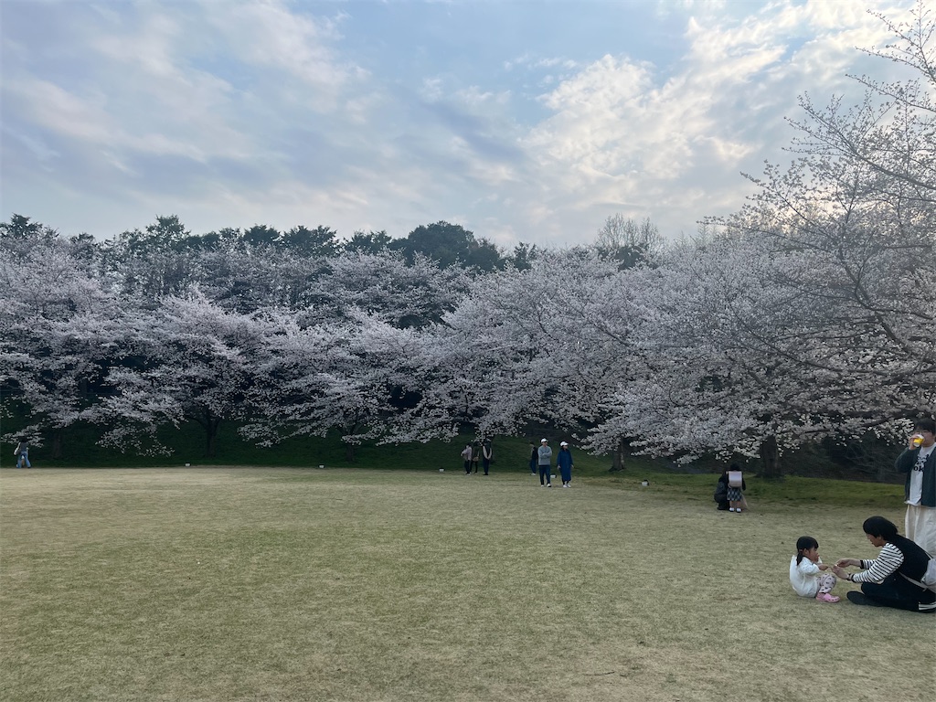 f:id:narutabi:20260331114128j:image