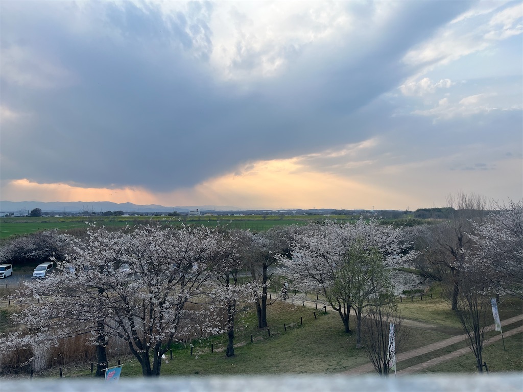 f:id:narutabi:20260331114148j:image