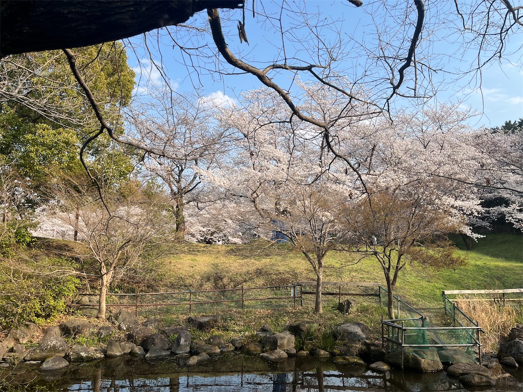 f:id:narutabi:20260331114204j:image