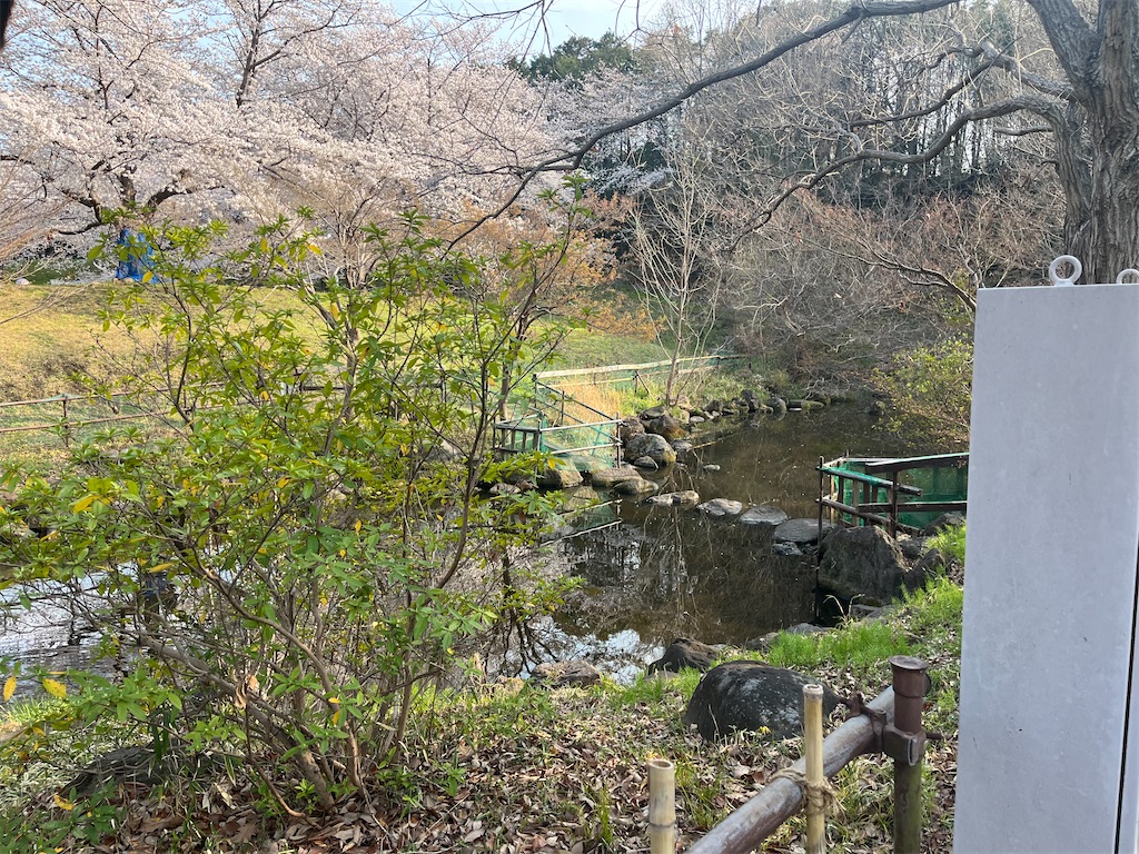 f:id:narutabi:20260331114215j:image