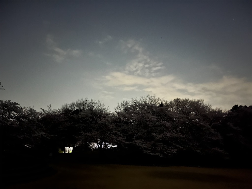 f:id:narutabi:20260331145225j:image