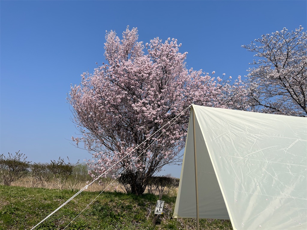 f:id:narutabi:20260331145308j:image