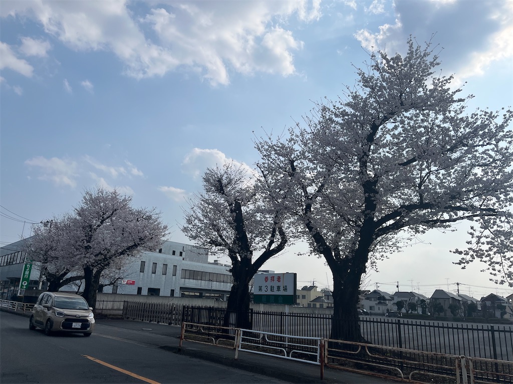 f:id:narutabi:20260331164348j:image