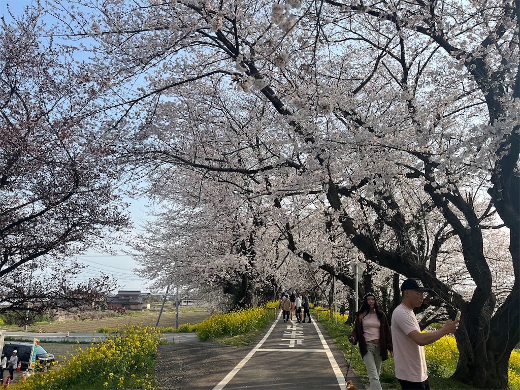 f:id:narutabi:20260331164446j:image