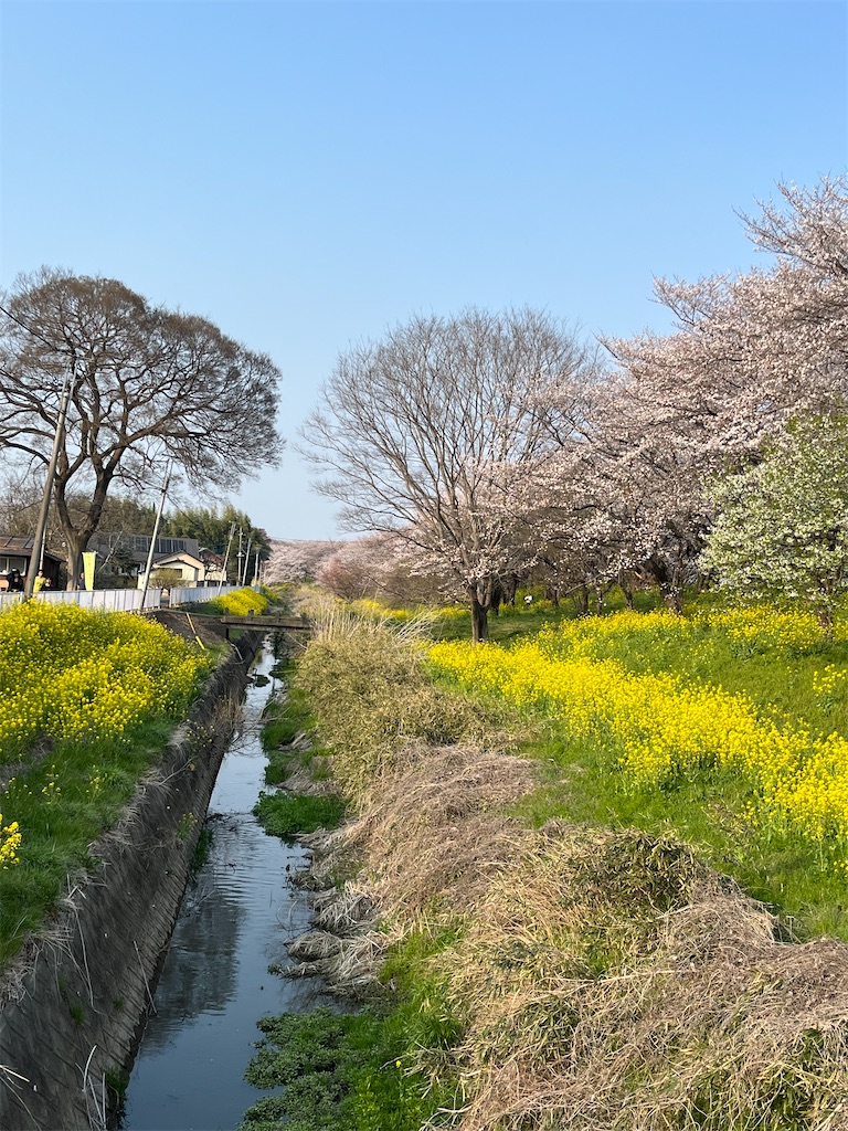 f:id:narutabi:20260331164452j:image